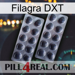 Filagra DXT 31